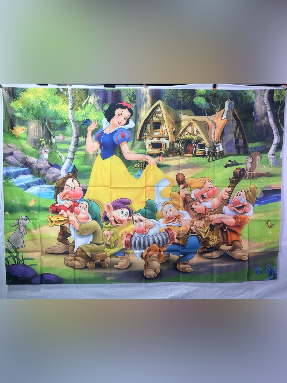 Large Snow White Theme Birthday Backdrop Banner 7x5Ft.
